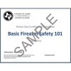 New Warrior Defense Systems - Basic Firearm Safety 101 - Certificate of Completion